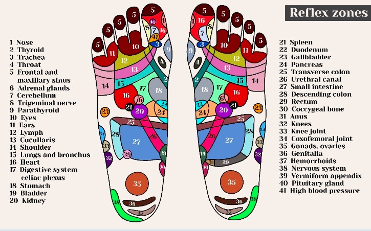 acupressure for feet