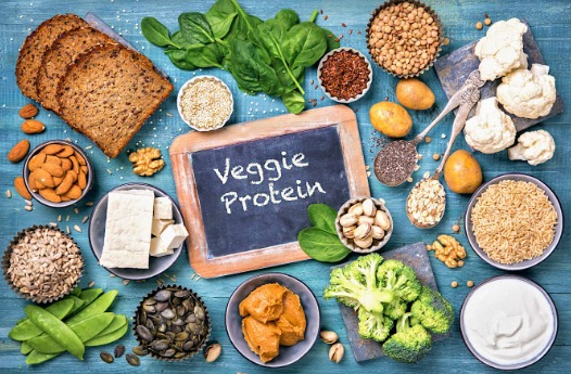 veggie protein